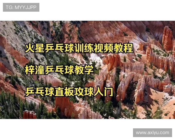 乒乓球新手必看：掌握节奏与技巧的全面入门指南